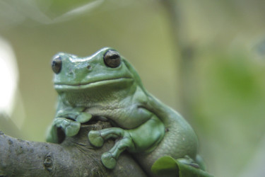 Similar image 8178190