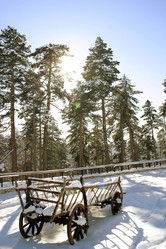 Similar image 8178203