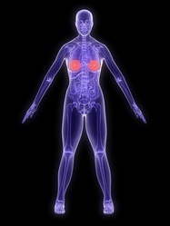 Similar image 8178218