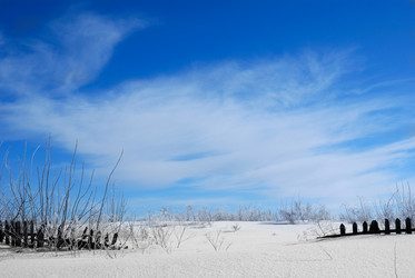 Similar image 8178237