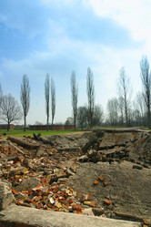 Similar image 8178260