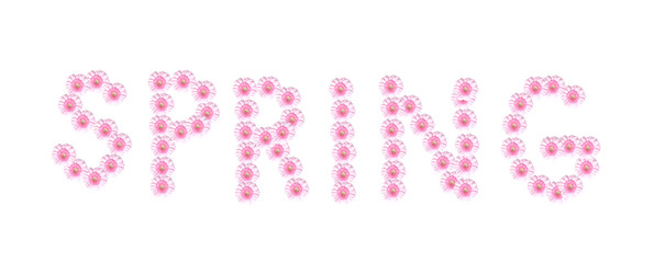 Similar image 8178289