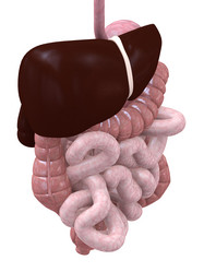 Similar image 8178310