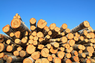 Similar image 8178321