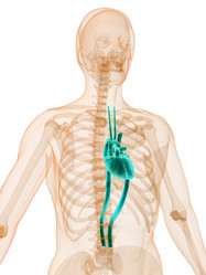 Similar image 8178338