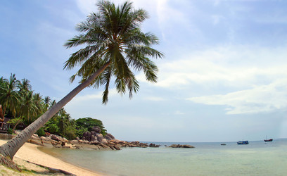 Similar image 8178358