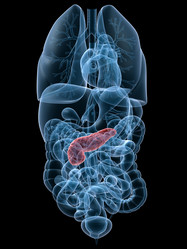 Similar image 8178381