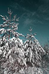 Similar image 8178405