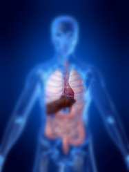 Similar image 8178420