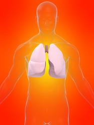 Similar image 8178447