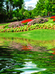 Similar image 8178504