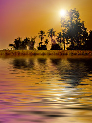 Similar image 8178506