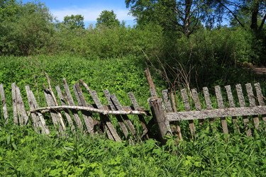 Similar image 8178510