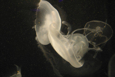 Similar image 8178523