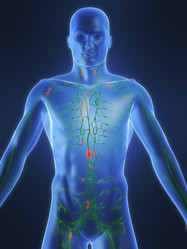 Similar image 8178556