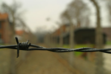 Similar image 8178559