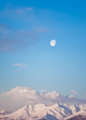 Similar image 8178583