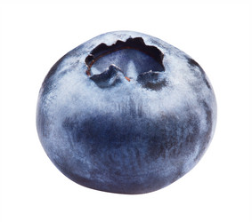 Similar image 8178585