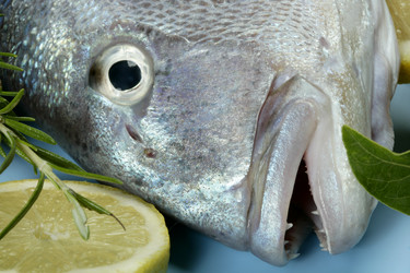 Similar image 8178637