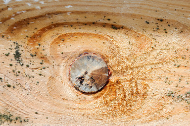 Similar image 8178667