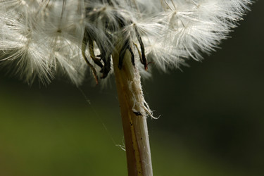 Similar image 8178685