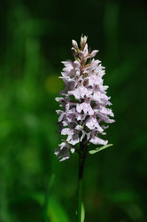 Similar image 8178688