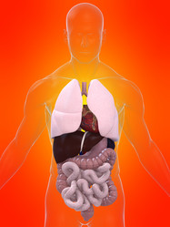 Similar image 8178700