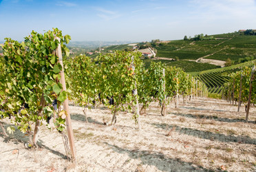 Similar image 8178702