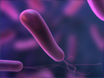 Similar image 8178706