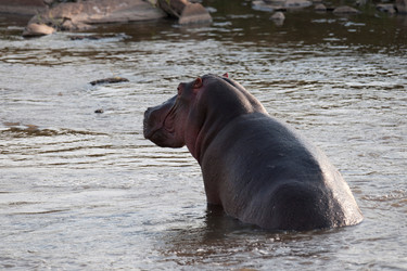 Similar image 8178724