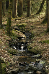 Similar image 8178726