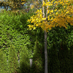 Similar image 8178727