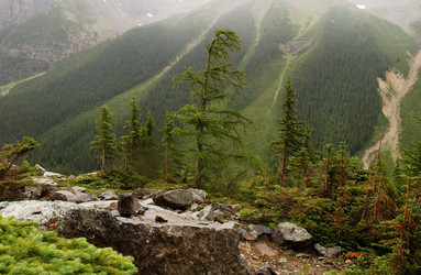 Similar image 8178728