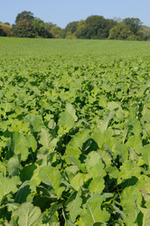 Similar image 8178731