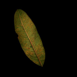 Similar image 8178736