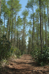 Similar image 8178748