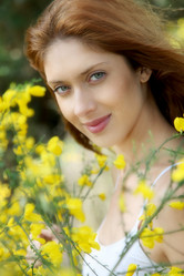 Similar image 8178754