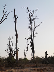 Similar image 8178783