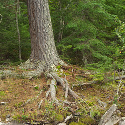 Similar image 8178786