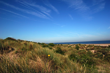 Similar image 8178787