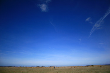 Similar image 8178789