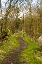 Similar image 8178791