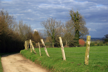 Similar image 8178792