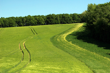 Similar image 8178793