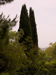 Similar image 8178797