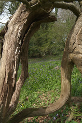 Similar image 8178798