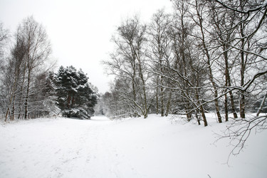 Similar image 8178799