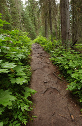 Similar image 8178800