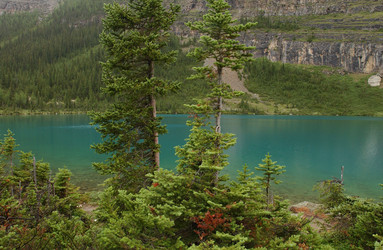 Similar image 8178802