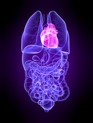 Similar image 8178820